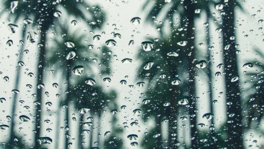 Top Rainiest Cities in the U.S.: Pensacola, West Palm Beach and Miami Rank Among Wettest (featured)